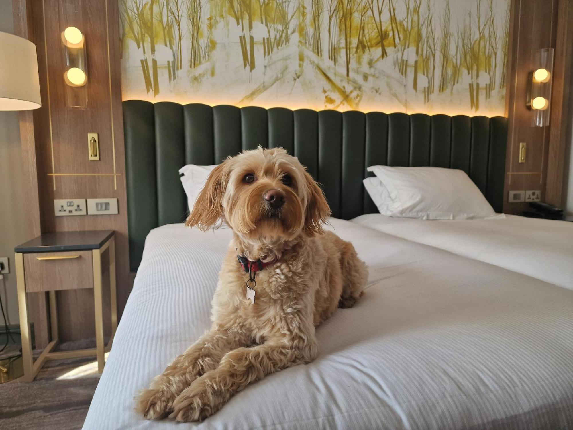 Hilton Dublin Kilmainham Hotel Luaran gambar